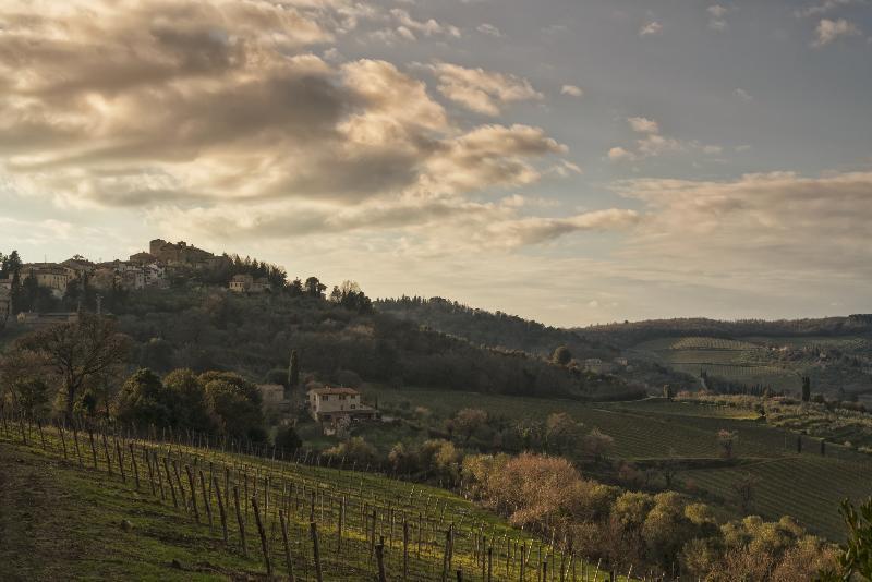 La Pensione Di Vignamaggio Panzano in Chianti Exterior foto